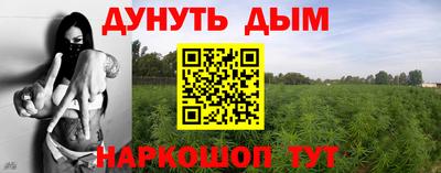 прущие грибы Шахты