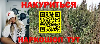 прущие грибы Шахты
