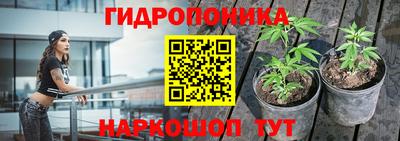 мяу мяу мука Шебекино