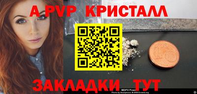 прущие грибы Шахты
