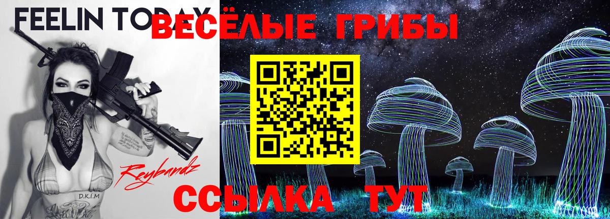 Галлюциногенные грибы прущие грибы  Вход с VPN  купить наркотики цена  Галлюциногенные грибы мицелий  Шумерля 